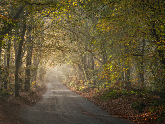 The Road the Leith Hill