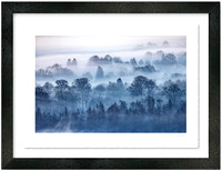 Framed Print Collections