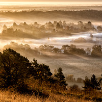 Landscapes - Surrey