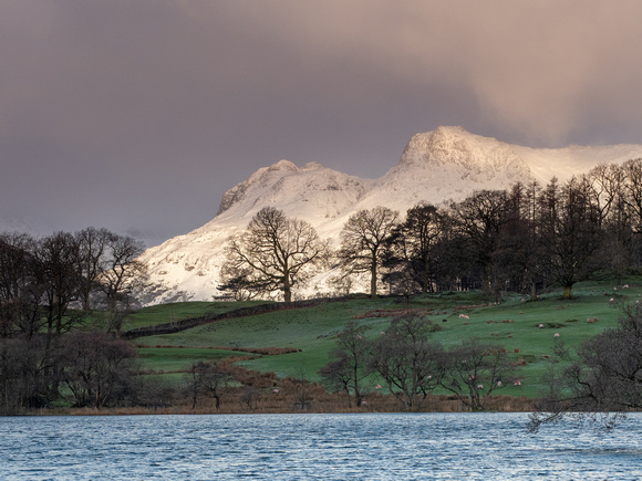 The Langdale Pikes across Loughrigg Tarn 3