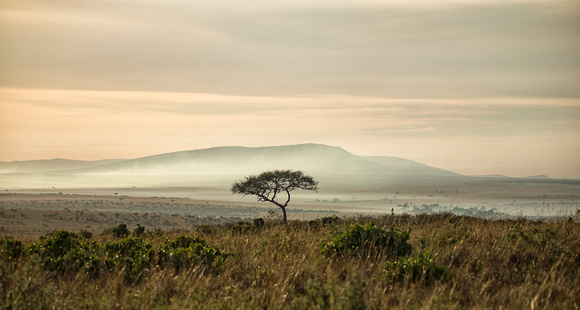 Maasai Dawn