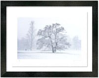 A Walk in the Snow (66.6 cm x 52.6 cm)