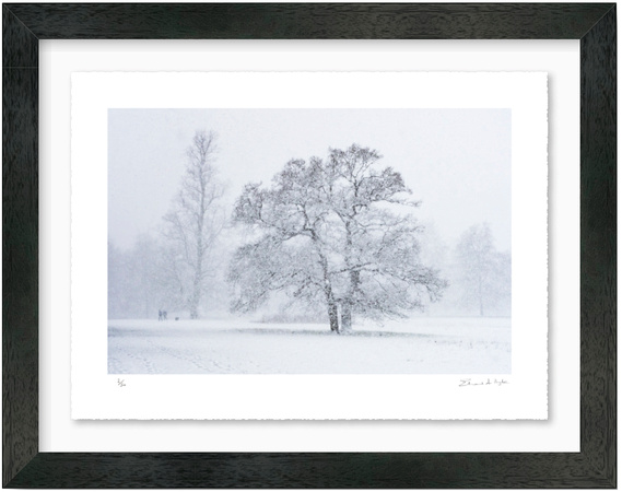 A Walk in the Snow (66.6 cm x 52.6 cm)